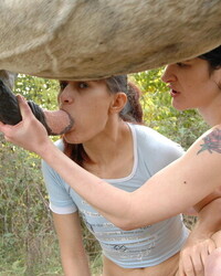 photo-thumb