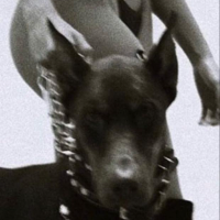 kittyxluccybeastiality Avatar