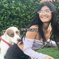 k9harry Avatar