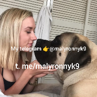 wendyK9 Avatar