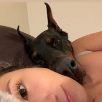 Lubellak9 Avatar