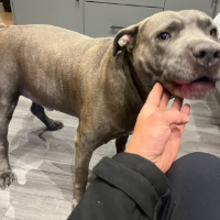 georginak9 Avatar