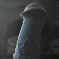 gerzl1 Avatar