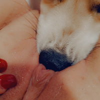caninecountess的化身