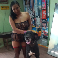 palomazoo Avatar