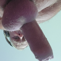 paul12 Avatar