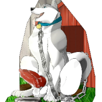 dog2 Avatar