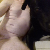 dogknot Avatar