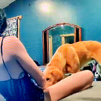 ShannonRip2023 Avatar