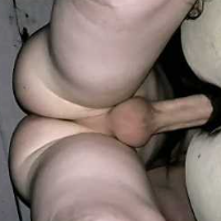 andre Avatar