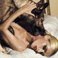 dogtongue的化身