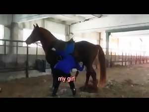 Active horse sex