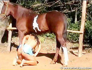 brazilian girl sucking a horse