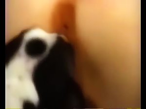 Hot Girl Licked by Dog