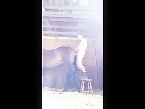 guy has sex with horse