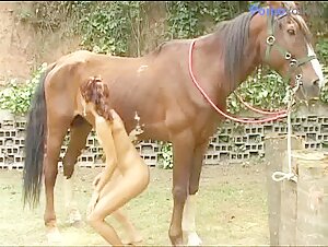 Brazilian sex horse