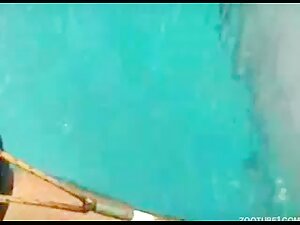 A man suck a dolphin