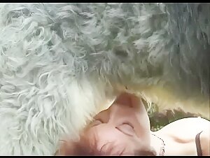 Two Pretty women share dog