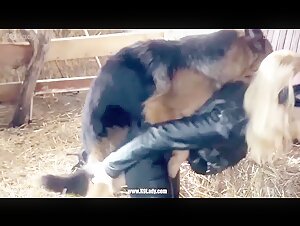 Mature blonde Fuck with Dog and boar