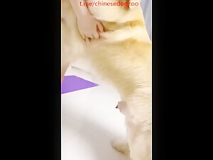 Thumb 6