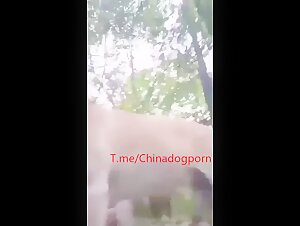 Chinese BBW with dog outside