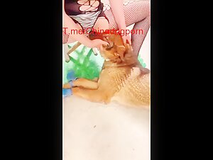 Chinese wife has her own dog