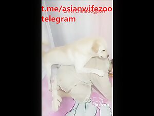 Thumb 9