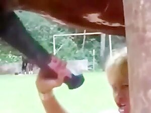 Ultimate Zoo Mix 3 - Just Horses