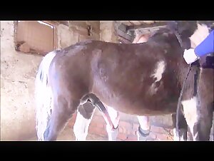 TEAMRUSSIA NADYA AND HORSE