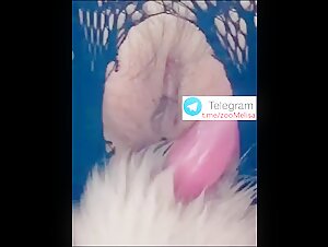 Thumb 9