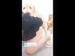 Chinese bitch sex with dog one by one 1