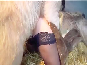 Black stockings chick is going to get fucked by a pig