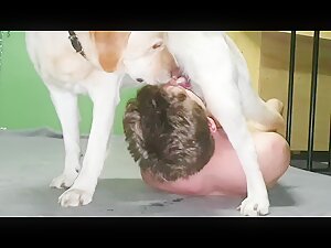 Man blowjob dog cock
