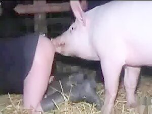 Pig bangs wife Kerstin in the barn