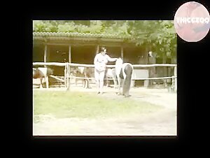 Thicczoo - Big Women Just Horses compilation 4