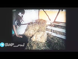 K9Lady - Selena - Final Touch