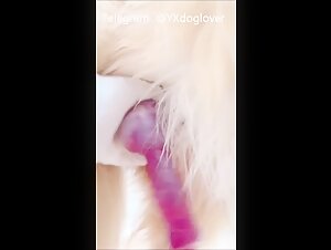 Asian teen sucking dog's big dick and swallow