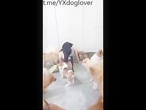 Hot asian mom group sex dog