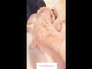 Many dogs take turn to this Chinese slut