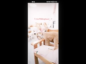 BIg dog party gangbang collection cheap