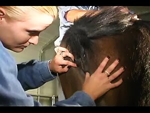 couple with pony 01