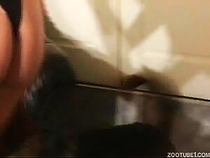 Blonde mature with dog cock in her moist pussy