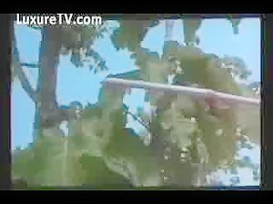 Feeding 2 pigs