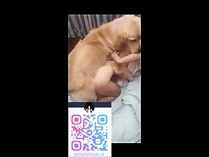 Real amateur Chinese couple dog fuck