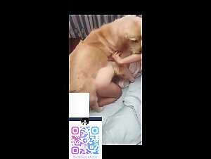 Teacher and student in hotel bestiality
