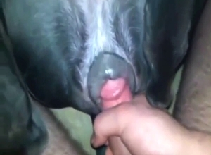 Dude has a horny bitch in the heat in a POV movie