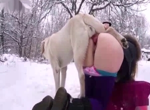Hairy pussy amateur wants a dog creampie