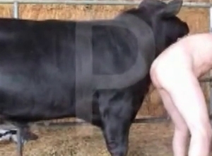 Incredibly sexy farm animality XXX