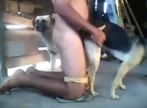 This zoo sex session gets weird with kinky fucker