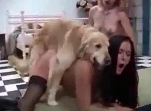 Fast sex with a hairy doggy and a female